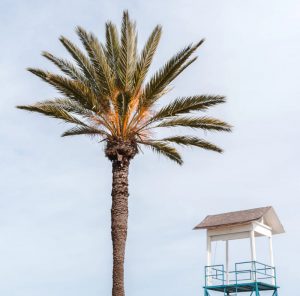 Billeje & lejebil i Larnaca