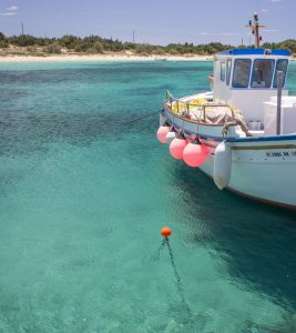 Billeje & biludlejning på Naxos