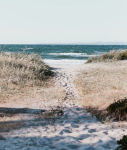 Billeje & lejebil i Frederikshavn
