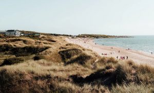 Billeje & lejebil i Halmstad