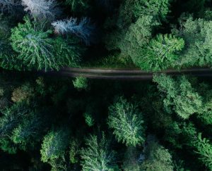 Billeje & lejebil i Gävle