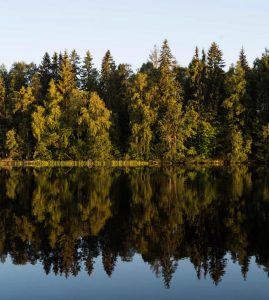 Billeje & lejebil i Borlänge