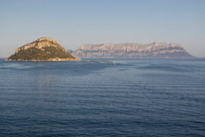 Billeje & lejebil i Olbia