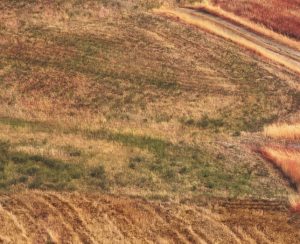 Billeje & lejebil i Brindisi