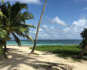 Billig biludlejning i Martinique