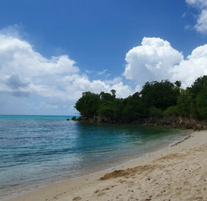 Billig biludlejning i Guadeloupe