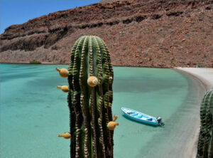 Lejebil & biludlejning i Baja California