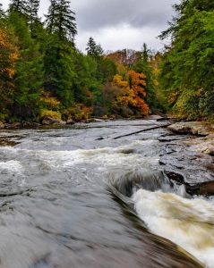Lejebil & biludlejning i Maryland