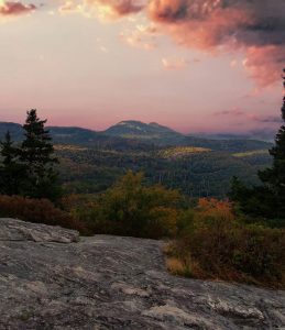 Lejebil & biludlejning i North Carolina