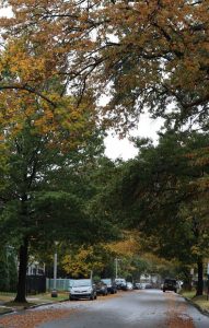 Lejebil & biludlejning i New Jersey