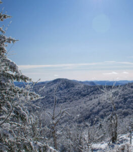 Lejebil & biludlejning i Vermont