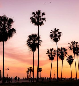 Lejebil & biludlejning i Californien