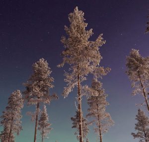Billeje & biludlejning Gällivare Lufthavn