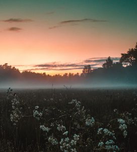 Billeje & biludlejning Turku Lufthavn