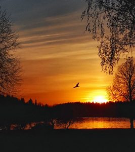 Billeje & biludlejning Vaasa Lufthavn