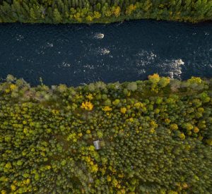 Billeje & biludlejning Umeå Lufthavn