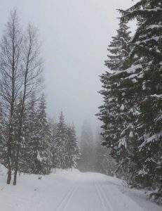 Billeje & biludlejning Karlstad Lufthavn