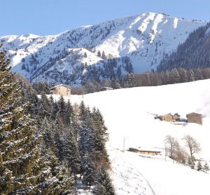 Billeje & biludlejning Bergamo-Orio al Serio Lufthavn