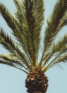 Billeje & lejebil i Lamezia Terme