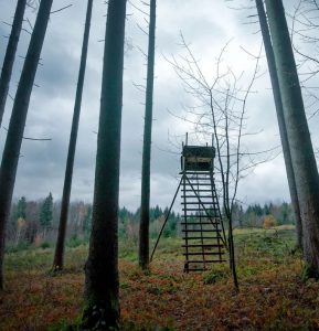 Billeje & biludlejning Memmingen Lufthavn